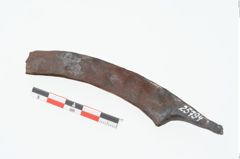 Foto von Eisengriffdornmesser (NHMW-PRAE-025794)